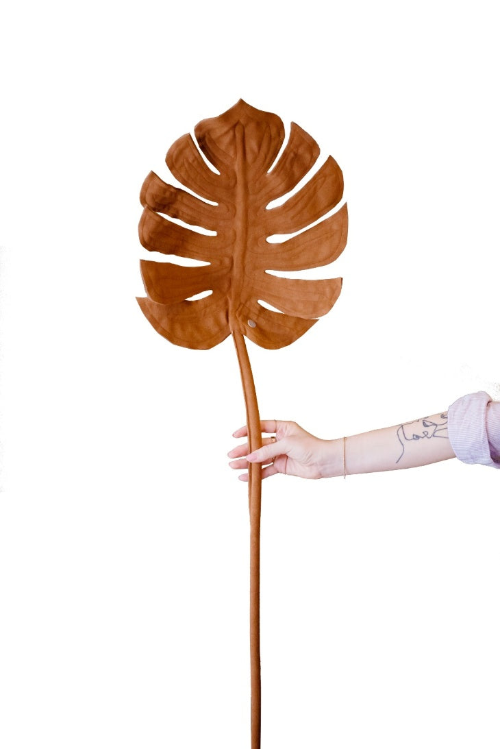 Costela de Adão G