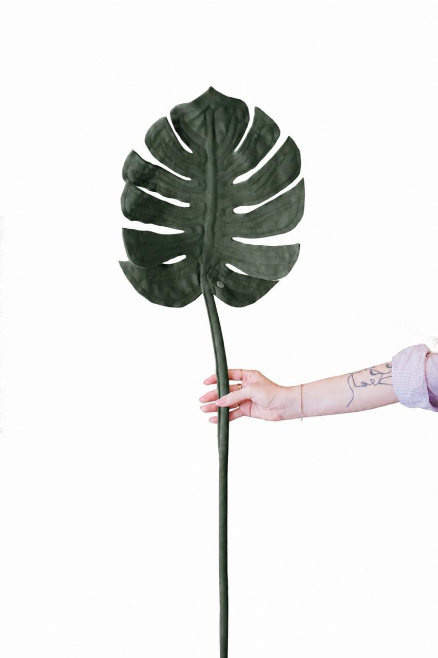 Costela de Adão G